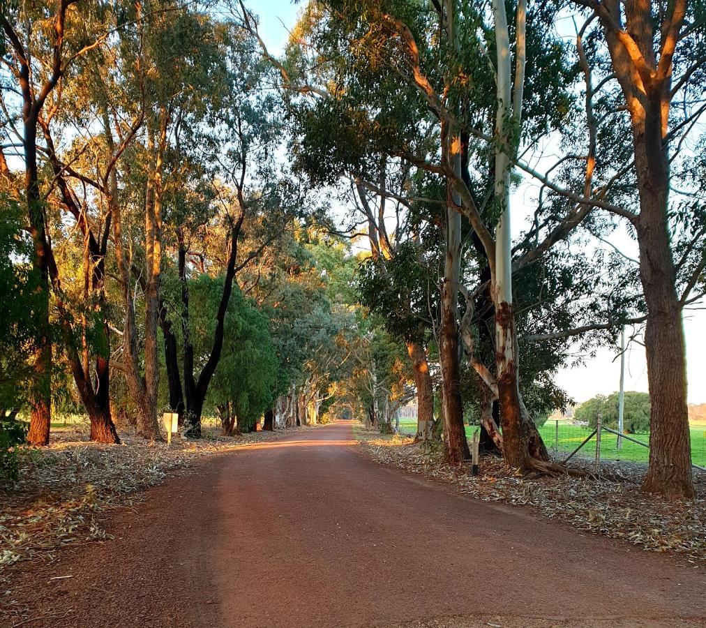 Bussells Bushland Cottages Margaret River Extérieur photo