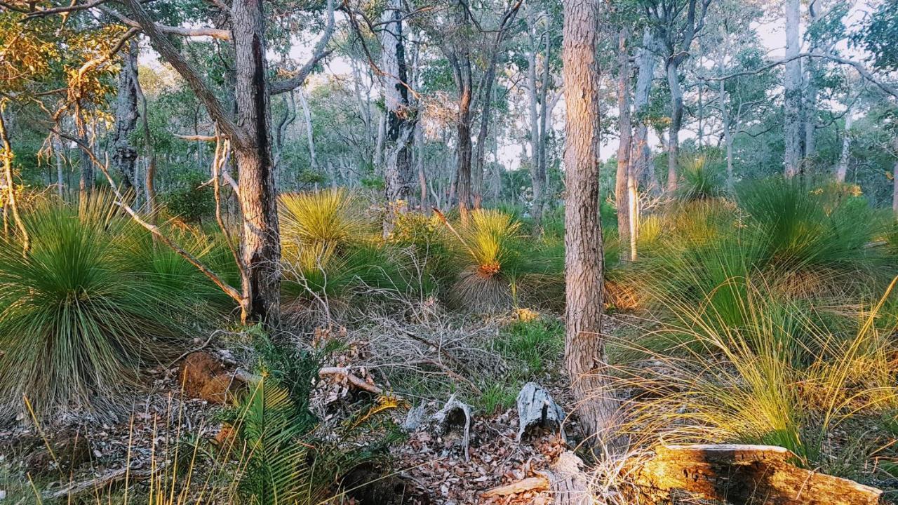 Bussells Bushland Cottages Margaret River Extérieur photo