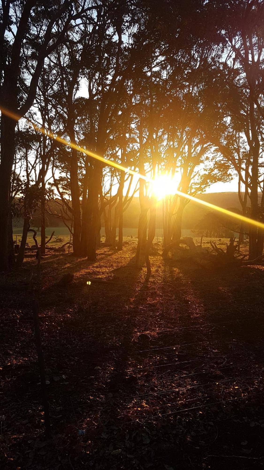 Bussells Bushland Cottages Margaret River Extérieur photo