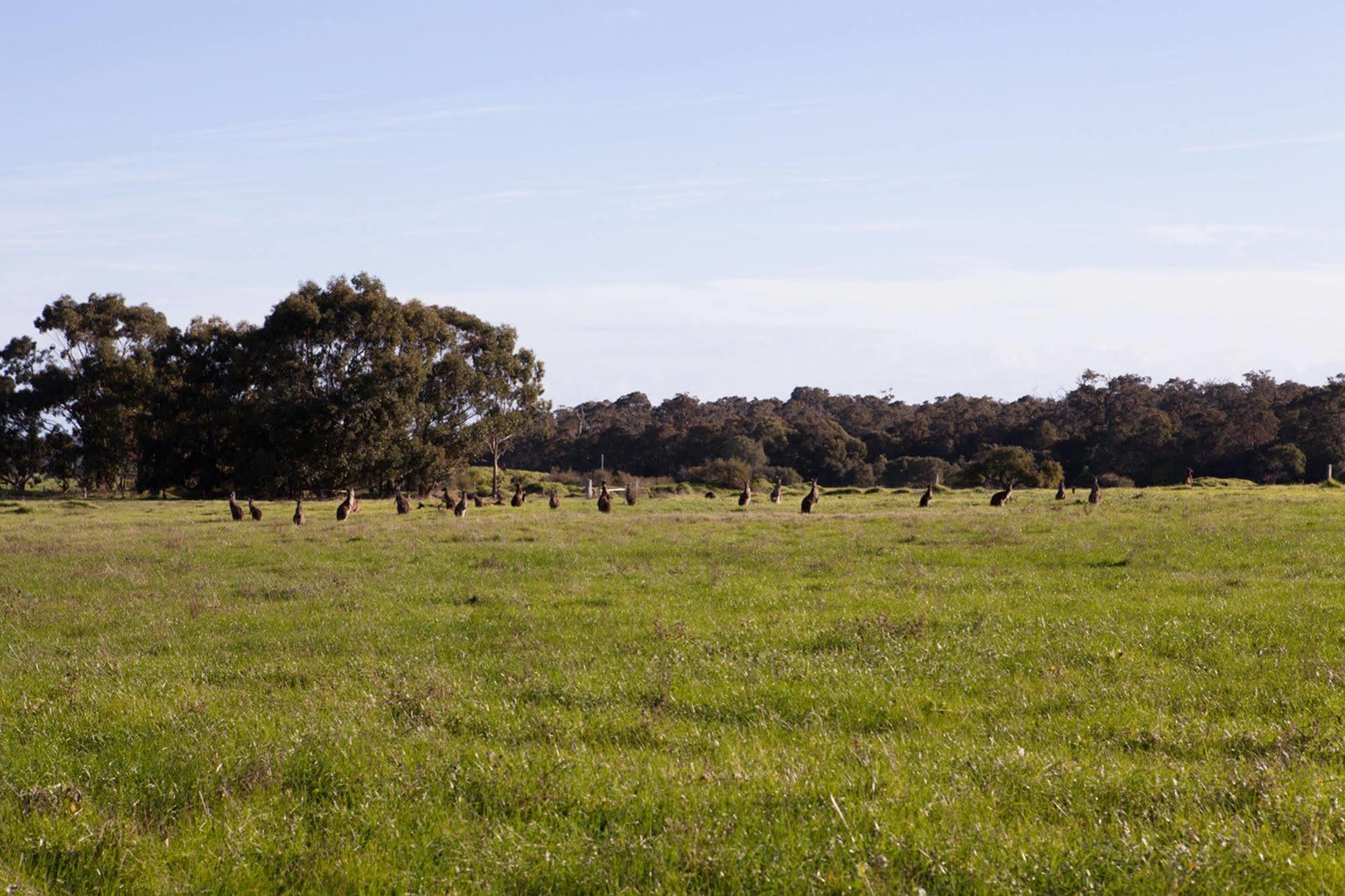Bussells Bushland Cottages Margaret River Extérieur photo